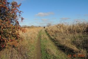   . <br>.  ,   <br>,  .