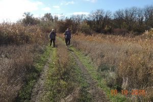  . <br>.  ,   <br>,  .