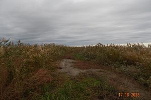   .  .<br>. ,  .., -<br>  