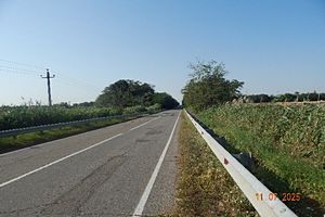       3-, <br> ,  