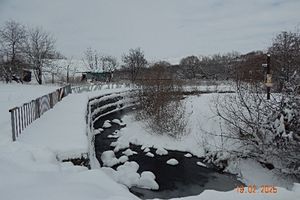  ,   1,  